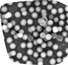 sem-carbon-lc Scanning electron microscope (SEM) image of the Supel™ Carbon LC particles