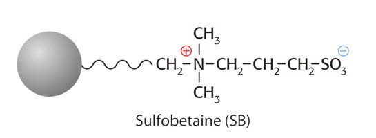 sulfobetaine-formula Chemical structure of Sulfobetaine (SB) featuring a silver sphere representing a hydrophobic group, a long carbon chain, and a positively charged nitrogen atom connected to a sulfonate group (SO3). The structure includes various methyl (CH3) groups attached to the carbon chain.