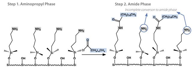 Ascentis® Express RP-Amide HPLC Columns Early Generation Two-step Bonding Process for EPG Amide Phases