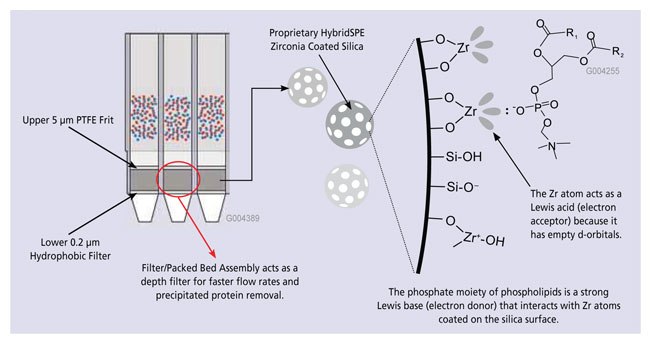 HybridSPE-Phospholipid Technology HybridSPE-PT 96-well Schematic and Phospholipid Retention Mechanism