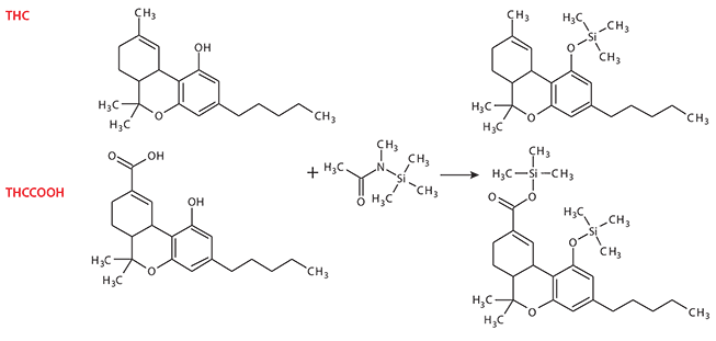 silylation-thc-thcc00h-mstfa Silylation of THC and THCCOOH using MSTFA