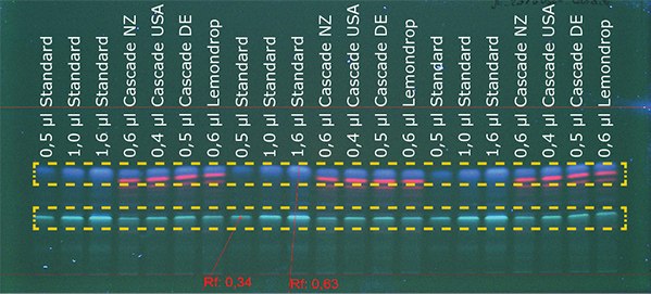 Detection of cascade Figure 1b: Detection of cascade hop at 366 nm