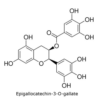 Analysis of Catechins in Green Tea by TLC