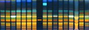 History of Thin-Layer Chromatography History of Thin-Layer Chromatography - High-Performance Thin-Layer Chromatography