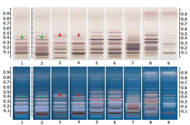 hptlc-chromatograms hptlc-chromatograms