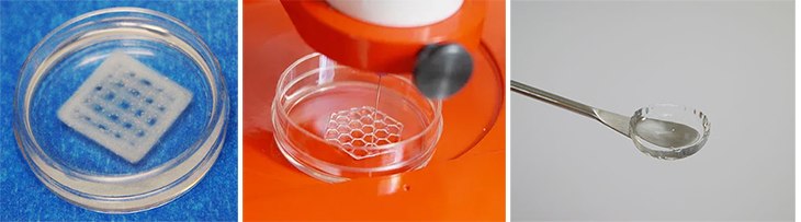 Bioprinting with photocrosslinked hydrogels Bioprinting with photocrosslinked hydrogels