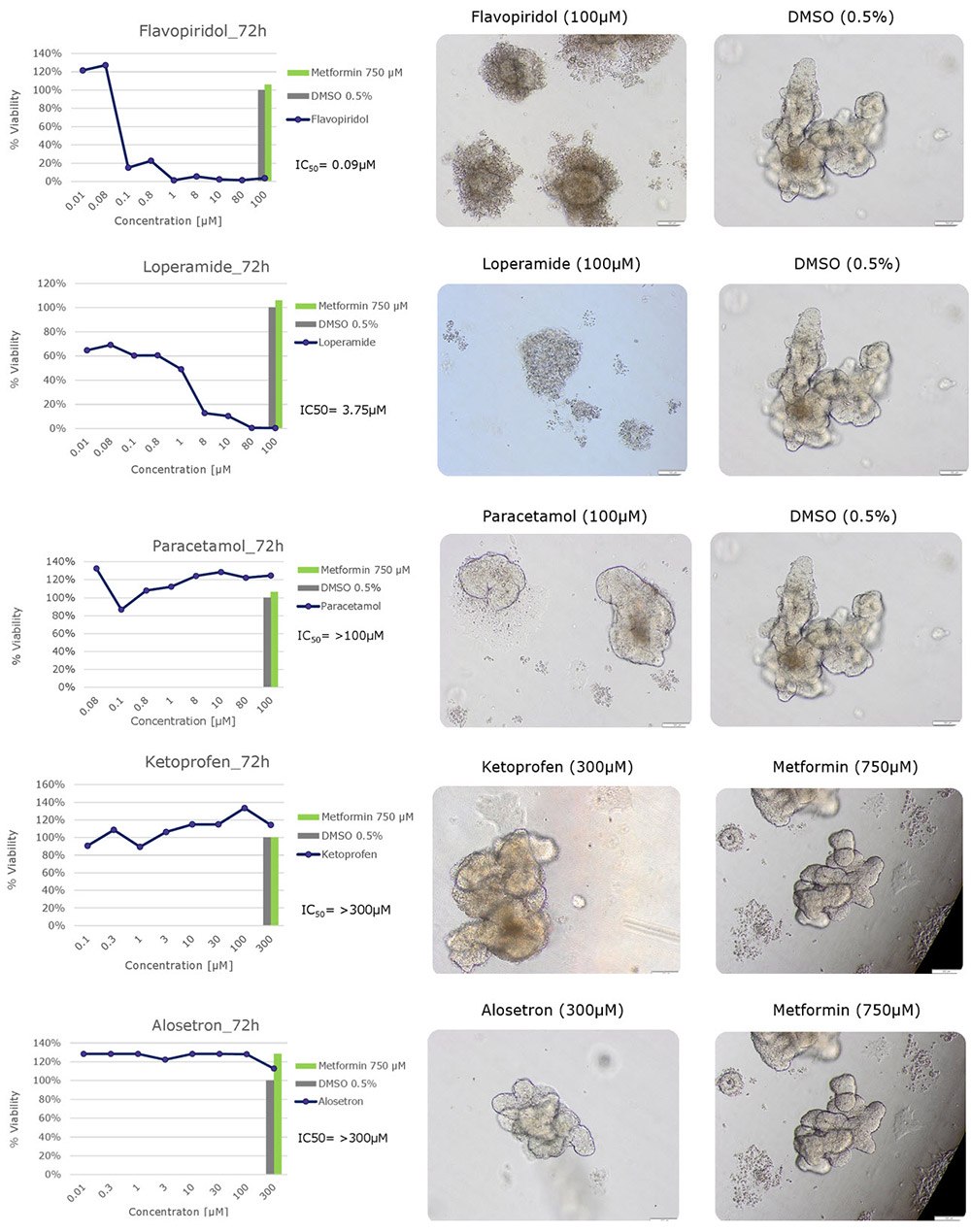 Cytotoxicity testing of drug compounds using human colon organoids. Cytotoxicity testing of drug compounds using human colon organoids. Cytotoxic effects of five compounds (flavopiridol, loperamide, paracetamol, ketoprofen and alosetron) on human colon organoids using the CellTiter-Glo® 3D Cell Viability Reagent.