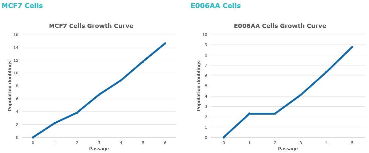 Stable Growth of Cancer Cells in 3dGRO<sup>®</sup> Spheroid Medium. Cumulative population doublings of MCF7 cells and E006AA cells during serial passage of 3D tumorsphere cultures was plotted. Stable Growth of Cancer Cells in 3dGRO™ Spheroid Medium