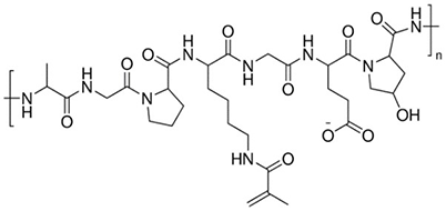 Gelatin Methacryloyl A structural chemical formula of Gelatin Methacryloyl (GelMA), showing a complex arrangement of carbon rings, chains, nitrogen bases, oxygen, and hydrogen atoms. The structure includes repeating units indicated by “(N)” to denote polymerization, with various functional groups such as hydroxyls, ketones, and amides. GelMA is a modified gelatin used in biomedicine and tissue engineering for creating hydrogels.