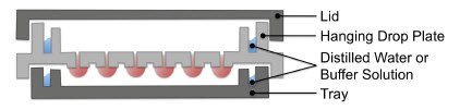 A schematic of the Perfecta3D Hanging Drop Plate. Cultures can be established with a single cell type or as co-cultures, a wide range of starting cell numbers, and with or without addition of exogenous ECM. schematic of the Perfecta3D Hanging Drop Plate
