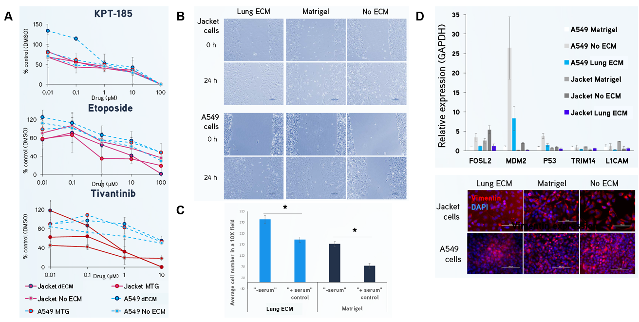 Tissue-Specific Decellularized Extracellular Matrix (dECM) Hydrogels for Enhanced 3D Cell Cultures Lung dECM Hydrogels can be used to model human lung cancer.