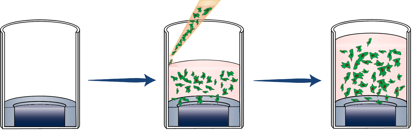 Step2-How to Use TrueGel3D® HTS Hydrogel Plates Add cells and media and incubate overnight.
