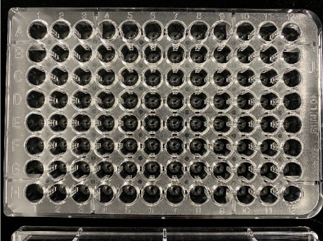 Millicell® ULA plate product image Keywords: 3d cell culture, 3d culture plate, spheroid formation Millicell® ULA plate product image Keywords: 3d cell culture, 3d culture plate, spheroid formation