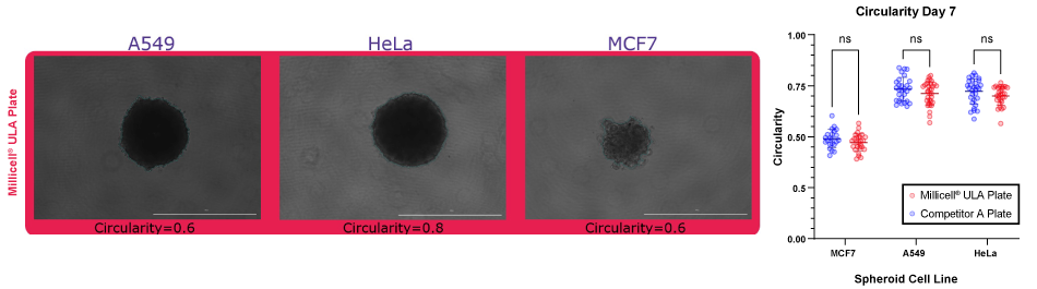 Spheroid Circularity for Spheroid Forming Cell Lines Quantification of spheroid circularity for spheroids formed in Millicell ULA plates