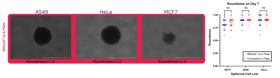 Spheroid Roundness for Spheroid Forming Cell Lines Quantification of spheroid roundness for spheroids formed in Millicell ULA plates