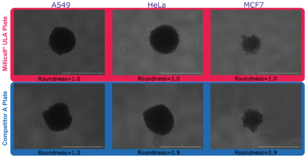 Spheroid Roundness Using Millicell® ULA and Competitor A Plates Quantification of spheroid roundness for spheroids formed in Millicell® ULA and Competitor A plates.