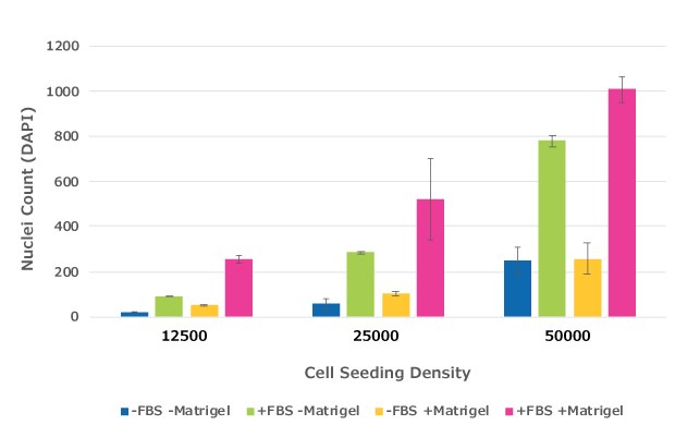HT1080 Quantification of migrated cells in cell culture inserts