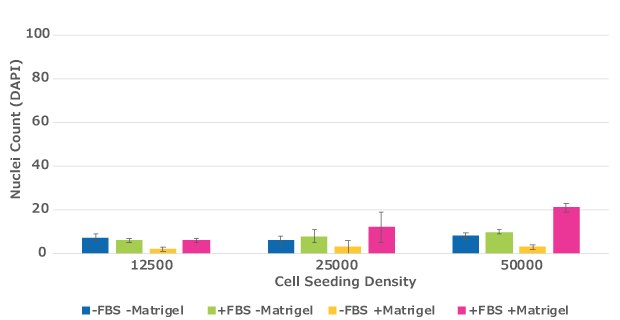 MCF7 Quantification of migrated cells in cell culture inserts