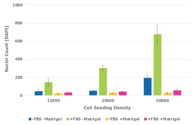 NIH3T3 Quantification of migrated cells in cell culture inserts