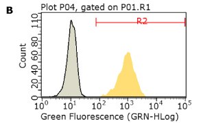 Flow cytometry histogram showing ALMC-1 expression of CD44 Flow cytometry histogram showing ALMC-1 expression of CD44 in yellow and unstained cells in gray