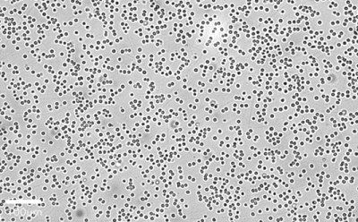 Imaging of suspension cells using a Millicell<sup>®</sup> DCI A brightfield image of suspension cells appearing as tiny, dark dots across the imaging field. A 200 µm bar is shown for scale.