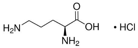 Structure of L-ornithine L-ornithine chemical structure