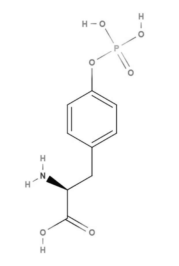 Structure of phosphotyrosine Chemical structure of phosphotyrosine Keywords: phosphotyrosine, tyrosine, amino acids
