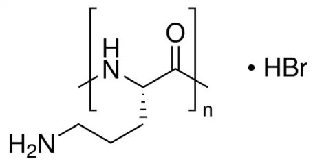 Structure of poly-L-ornithine Poly-L-ornithine chemical structure