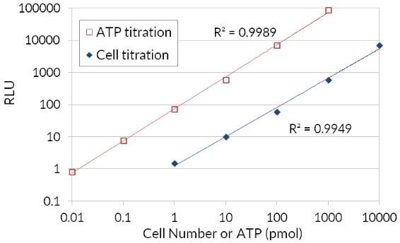 Bioluminescent ATP luciferase cell viability assay Bioluminescent ATP luciferase cell viability assay
