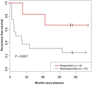 cell-tracking-figure-3 Increased tumor-specific T cell proliferative responses