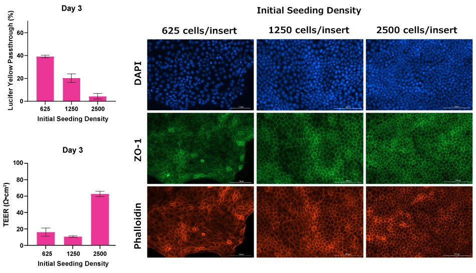 TEER Readings of MDCK II Cells Grown in Millicell® 1.0 μm Clear Inserts TEER readings of MDCK II cells grown in Millicell® 1.0 μm clear inserts