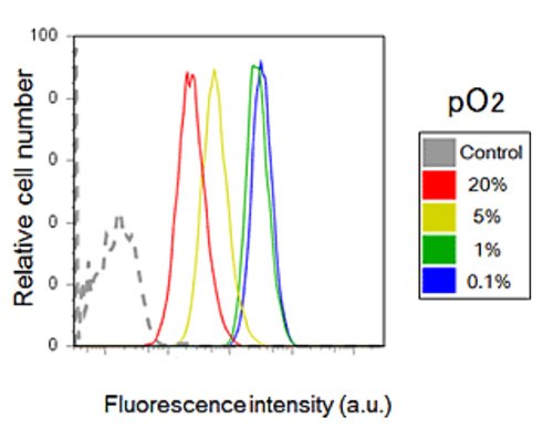 hypoxia-detection-using-flow-cytometry Hypoxia detection using flow cytometry.
