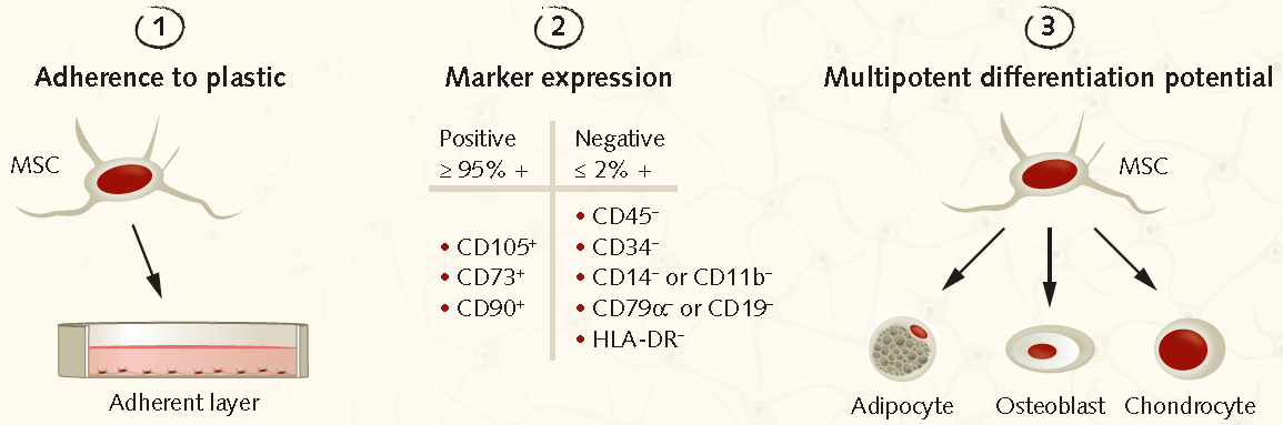 minimum-isct-criteria minimum-isct-criteria
