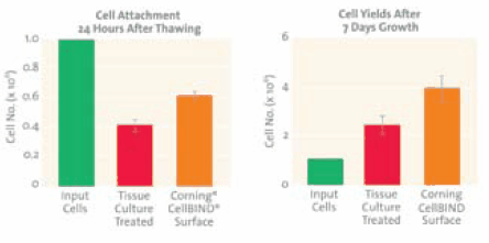 figure2 LNCaP cells