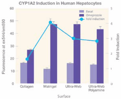 figure5 Effects of four different cell culture surfaces