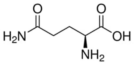 L-glutamine chemical structure Chemical structure of L-glutamine
