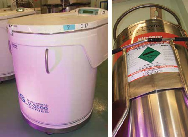 Common liquid nitrogen storage tanks used for cell cryopreservation. Common liquid nitrogen storage tanks used for cell cryopreservation