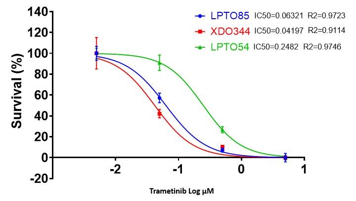 Drug Cytotoxicity Screening using Human Lung Cancer Organoids. Drug Cytotoxicity Screening using Human Lung Cancer Organoids.