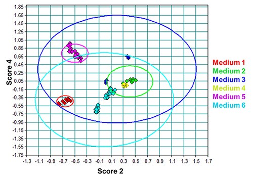 PCA scores plot of the DPM lot spectra from all media evaluated. The ovals are the 95% confidence intervals for that particular medium. Media 3 and 6 have very large confidence intervals because of polymorphism. Media 2 and 4 are indistinguishable because of the lack of sensitivity to differences in low mass percent raw materials. PCA scores plot of the DPM lot spectra from all media evaluated.