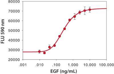 Fluorescence graph of mouse fibroblasts when EGF is added to the media. The Y axis shows FLU 590 nm from 20000 to 80000 in intervals of 10000; the X axis is EGF concentration from 0.001ng/ml to 100 ng/ml. The trend line is a S shaped curve.