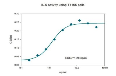 Proliferation graph of T1165 cells when IL-6 is added. The Y axis shows optical density at 580 nm from 0 to 0.3 in intervals of 0.05; the X axis is IL-6  concentration from 0.1ng/ml to 100 ng/ml. The trend line is a S shaped curve.