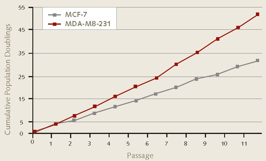cell-poliferation-rates Cell proliferation rates of MCF-7 and MDA-MB-231 breast cancer cells during 3D mammosphere culture.