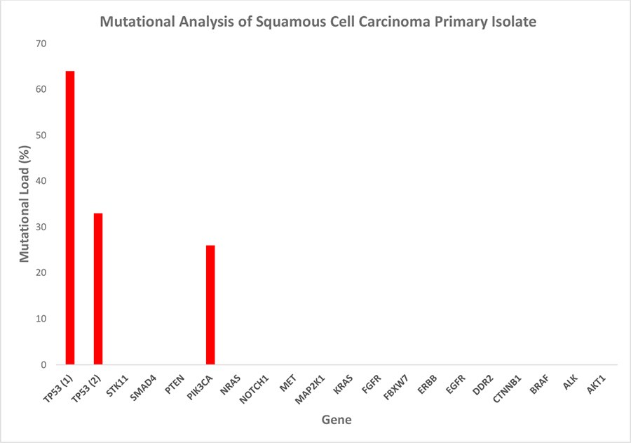 Microsoft Word - Promocell Primary Cancer Cell Media ACF Tech Article Mutational analysis of the squamous cell carcinoma primary isolate