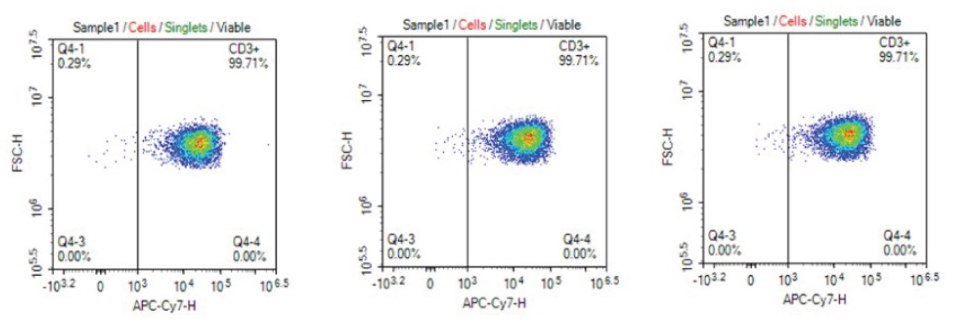 CD3+ phenotype distribution of T cells in culture media filtered using Stericup<sup>®</sup> PVDF filters Consistent CD3+ phenotype of T cells cultured in cell culture media filtered 1X, 5X, or 10X using Stericup® Quick Release PVDF filters