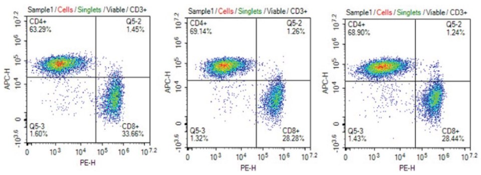 CD4+/CD8+ phenotype distribution T cells in culture media filtered using Stericup<sup>®</sup> PVDF filters Consistent CD4+/CD8+ phenotype of T cells cultured in cell culture media filtered 1X, 5X, or 10X using Stericup® Quick Release PVDF filters