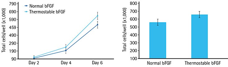 Higher cell proliferation rates of ENStem™-A human neural progenitor cells using a limited feeding regimen when using thermostable bFGF compared to normal bFGF. (A) Time course showing cell counts on days 2, 4 and 6 of incubation. (B) Comparing cell number per well after six days of incubation without medium exchange. Experiments were performed using three replicates of each time point and culture condition. Higher cell proliferation rates of ENStem™