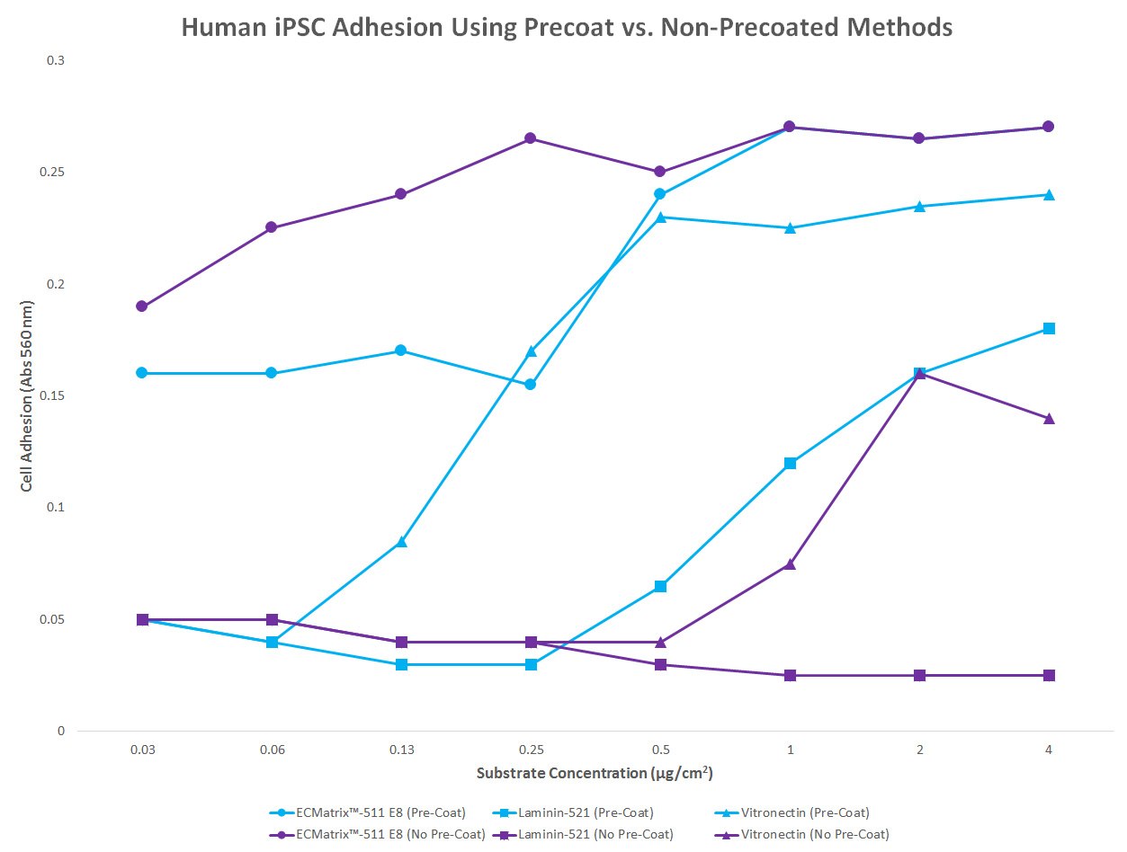 ECMatrix™-511 E8 laminin supports adhesion and growth of human iPSCs using both precoated and non-precoated culture methods at low protein concentrations (<0.5 µg/cm2). Unlike other ECM substrates, such as full-length laminin-521 and vitronectin, ECMatrix™-511 E8 is simply added to cell suspensions that have been detached from cultureware during iPS cell passaging. Human iPSC Adhesion Using Precoat vs. Non-Precoated Methods