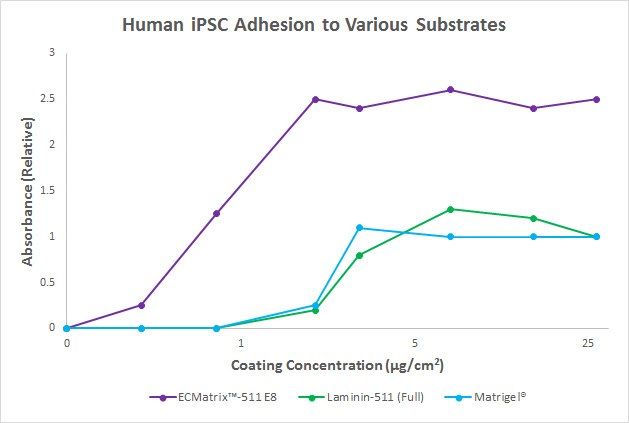 Human iPSC Adhension to Various Substrates Human iPSC Adhension to Various Substrates