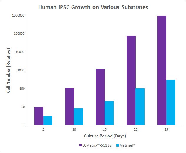 Adhesion and growth of human iPSCs on ECMatrix™-511 E8 Laminin Substrates vs. Matrigel<sup>®</sup>. <b>A</b>) Human iPS cells adhere more strongly to Laminin-511 E8 fragment than to the intact Laminin-511 or Matrigel<sup>®</sup>. OD570 absorbance represents the relative number of attached cells normalized against the values at the maximum effect on Matrigel<sup>®</sup>. Matrigel<sup>®</sup> control was arbitrarily set=1. <b>B)</b> Human iPS cells cultured using the Laminin-511 E8 Laminin Substrate resulted in 200-fold more cells when compared with Matrigel<sup>®</sup> coating methods. Human iPSC Growth on Various Substrates