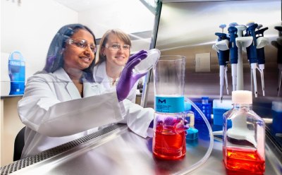 Filtration of cell culture media using Stericup® filters Scientists performing sterile filtration of cell culture media using Stericup® filters in the cell culture hood